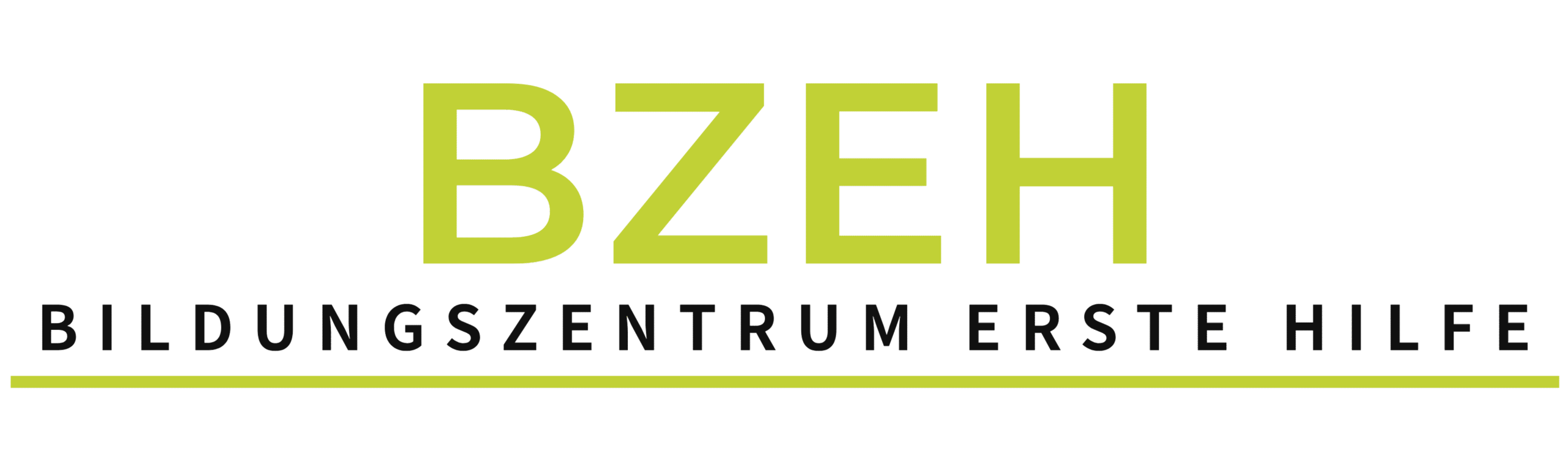 Logo-Neu-BZEH.png